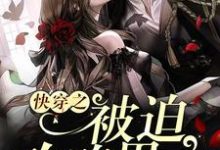 《快穿之被迫攻略男主》小说章节列表免费试读,唐苏苏陌小说在线阅读-够力荐小说推荐网