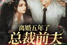 主角沈颖汐盛淮渊小说离婚五年了,总裁前夫跪求复合免费阅读-够力荐小说推荐网