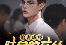 免费看追妻成瘾:陆总的菟丝花要离婚小说的网站有哪些?-够力荐小说推荐网