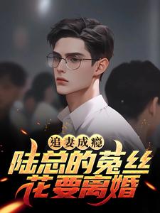免费看追妻成瘾：陆总的菟丝花要离婚小说的网站有哪些？