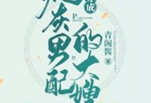 《穿成炮灰男配的大嫂》小说主角俞小宛陶三郎陶四郎章节章节免费在线阅读-够力荐小说推荐网