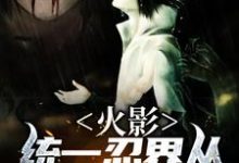 钱呈小说《火影：统一忍界从商人开始》在线阅读-够力荐小说推荐网