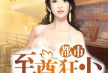 男女主人公陆离洛倾城燕离殇苏长弓小说都市至尊狂少章节免费阅读-够力荐小说推荐网