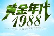 已完结小说《黄金年代1988》在线章节阅读-够力荐小说推荐网