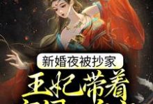 新婚夜被抄家,王妃带着空间入皇宫小说的无弹窗阅读体验,寻找免费阅读网站-够力荐小说推荐网