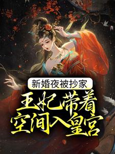 新婚夜被抄家，王妃带着空间入皇宫小说的无弹窗阅读体验，寻找免费阅读网站