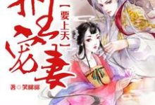 邪王宠妻要上天免费阅读,邪王宠妻要上天宋七七君凌夜凤决-够力荐小说推荐网