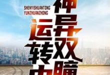 求推荐可以免费阅读神异双瞳运转中小说的网站-够力荐小说推荐网