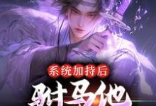 完结版《系统加持后,驸马他签到成仙了》在线免费阅读-够力荐小说推荐网