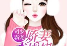 司少霸宠:娇妻水嫩嫩小说阅读,司少霸宠:娇妻水嫩嫩完结版-够力荐小说推荐网