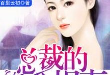 已完结小说《豪门暖婚:总裁的千金悍妻》章节免费阅读-够力荐小说推荐网