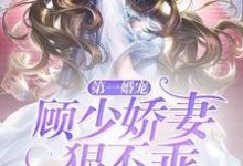 第一婚宠:顾少娇妻狠不乖小说免费资源,第一婚宠:顾少娇妻狠不乖在线阅读-够力荐小说推荐网