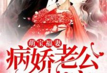 黎煌黎煌的故事在哪本书里?免费阅读萌宝福妻,病娇老公超会宠-够力荐小说推荐网