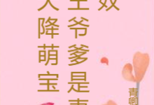 求推荐可以免费阅读天降萌宝：王爷爹是妻奴小说的网站-够力荐小说推荐网