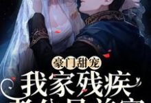 豪门甜宠:我家残疾老公是首富顾桥司律桓小说在线章节目录阅读最新章节-够力荐小说推荐网