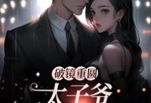 破镜重圆:太子爷他太霸道小说全文哪里可以免费看?-够力荐小说推荐网