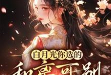 白月光你选的,和离可别来诉苦小说的免费阅读版本在哪里可以找到?-够力荐小说推荐网