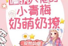韩城野宁染为主角的小说叫什么?免费看偏执大佬的小青梅奶萌奶撩-够力荐小说推荐网