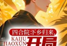 张楚生为主角的小说好看吗？免费读四合院：下乡归来，开局教训棒梗-够力荐小说推荐网