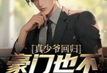 林天苏倾城小说《真少爷回归,豪门也不需要我了》在线阅读-够力荐小说推荐网
