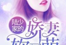 陆少家的娇妻软又萌小说免费资源,陆少家的娇妻软又萌在线阅读-够力荐小说推荐网