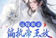 宋溶月景泽辰是哪本书的主角?远嫁和亲,偏执帝王放不开公主的手免费读-够力荐小说推荐网