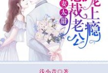 苏安安厉奕天苗晓晓的小说在哪里看？免费在线阅读萌妻太甜：总裁老公宠上瘾-够力荐小说推荐网