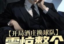 在线搜索杨力大姚的完整小说，免费阅读开局酒庄换球队，震惊整个NBA-够力荐小说推荐网