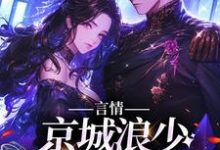求推荐可以免费阅读言情:京城浪少苦追妻小说的网站-够力荐小说推荐网