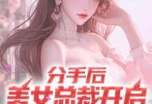分手后,美女总裁开启追夫火葬场小说的无弹窗阅读体验,寻找免费阅读网站-够力荐小说推荐网