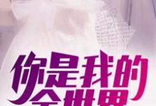 主角叫陈平安白倾城龙若瑄藏天的小说在哪阅读-够力荐小说推荐网