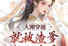 已完结小说《人刚穿越,就被渣爹卖女求荣》在线章节阅读-够力荐小说推荐网