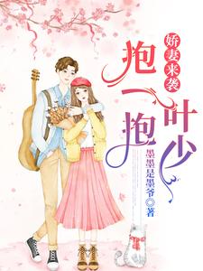 娇妻来袭：叶少，抱一抱时锦叶琛叶枭叶浅浅，娇妻来袭：叶少，抱一抱在线无弹窗阅读