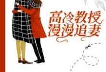 叶宇宸沈念为主角的小说好看吗？免费读高冷教授漫漫追妻-够力荐小说推荐网