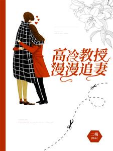 叶宇宸沈念为主角的小说好看吗？免费读高冷教授漫漫追妻