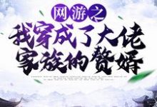 在线寻找网游之我穿成了大佬家族的赘婿小说的无删减版本-够力荐小说推荐网
