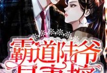 已完结小说《霸道陆爷是妻控》章节免费阅读-够力荐小说推荐网