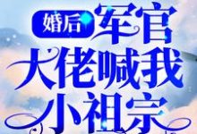 男女主人公叫盛晚烟顾廷枭的小说免费资源-够力荐小说推荐网