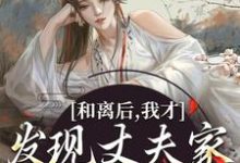 和离后,我才发现丈夫家是杀父仇人小说完结版章节免费阅读-够力荐小说推荐网