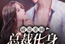 李诗婳冷亦尘的故事在哪本书里?免费阅读破镜重圆:总裁化身宠妻狂魔-够力荐小说推荐网