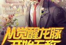 从觉醒龙脉开始无敌免费阅读,从觉醒龙脉开始无敌章节在线阅读-够力荐小说推荐网