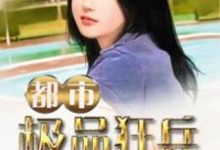 都市极品狂兵小说完结版章节免费阅读-够力荐小说推荐网
