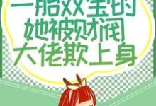 四年后,一胎双宝的她被财阀大佬欺上身小说全文阅读需要付费吗?寻找免费资源-够力荐小说推荐网