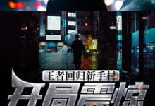 主角林凡陈伟小说完结版在线阅读，王者回归新手村，开局震惊网游界免费看-够力荐小说推荐网