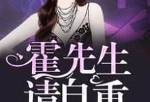 霍先生,请自重向晚霍霆琛景安,霍先生,请自重章节在线阅读-够力荐小说推荐网