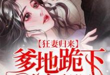 狂妻归来:爹地跪下唱征服小说全文哪里可以免费看?-够力荐小说推荐网