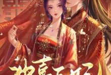 冲喜王妃她艳杀四方这本小说怎么样？免费在线阅读试试-够力荐小说推荐网