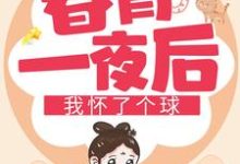春宵一夜后我怀了个球凌萱庄皓斓,春宵一夜后我怀了个球在线无弹窗阅读-够力荐小说推荐网
