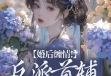 《婚后缠情!反派首辅为我痴狂》小说主角辛月影沈清起章节章节免费在线阅读-够力荐小说推荐网