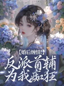 《婚后缠情！反派首辅为我痴狂》小说主角辛月影沈清起章节章节免费在线阅读